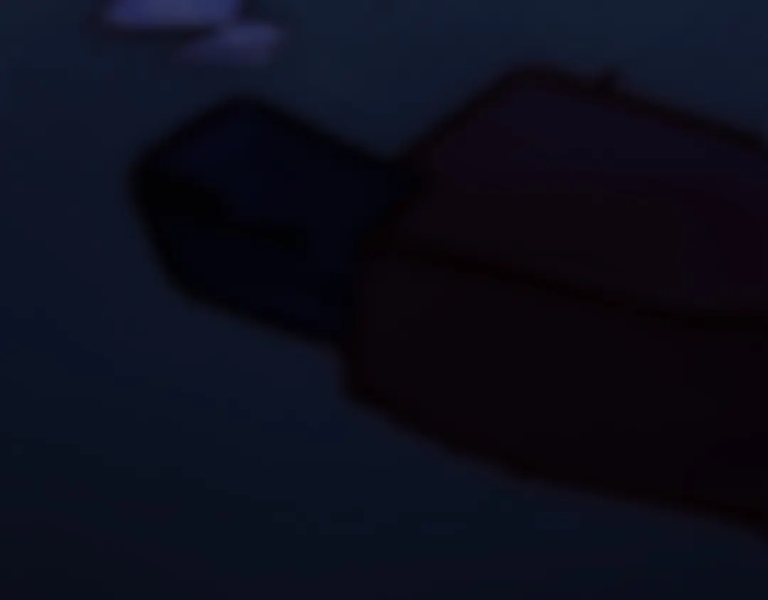 第223页