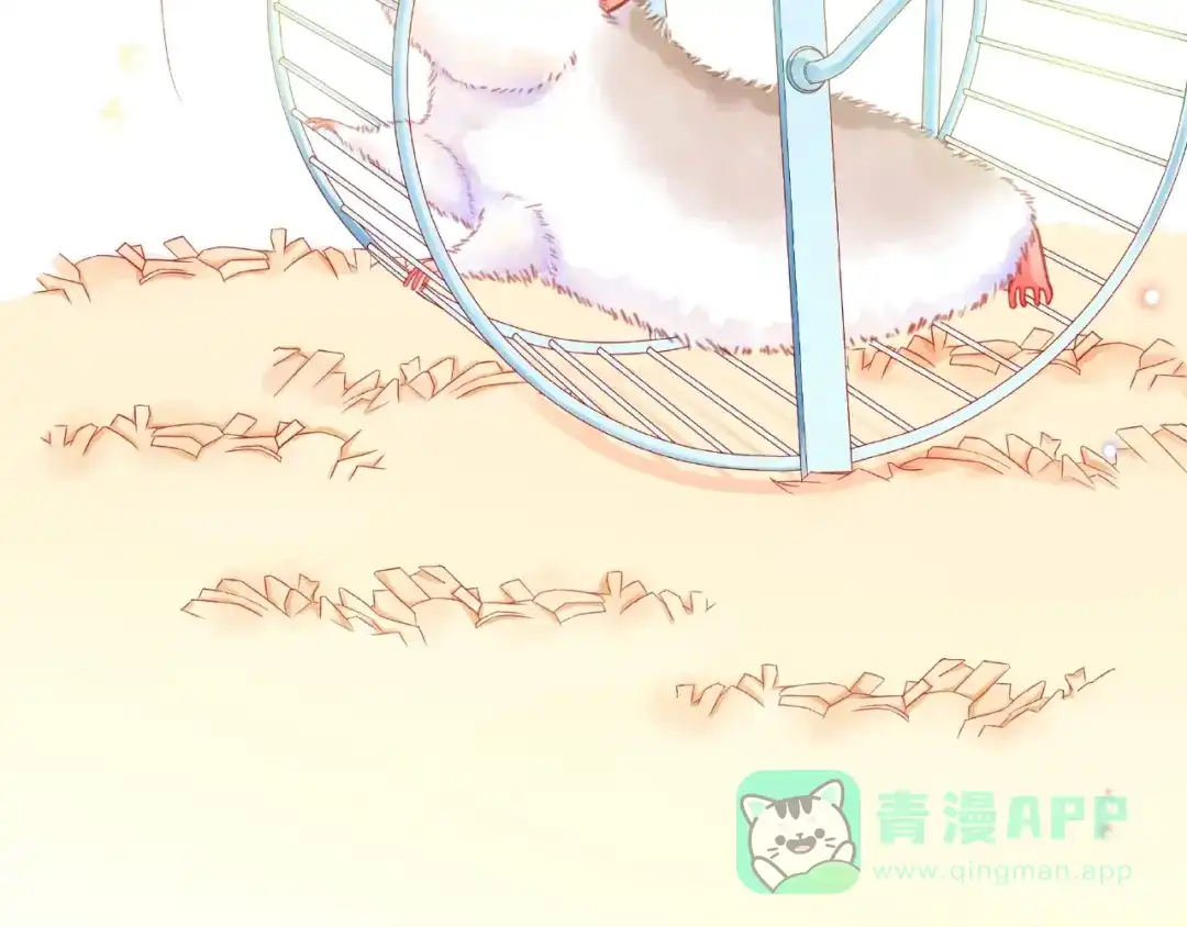 第126页