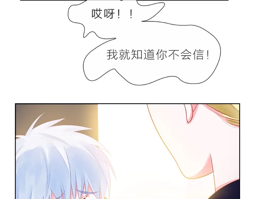 第204页