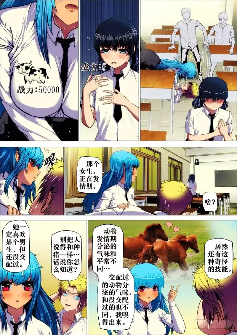 第5页