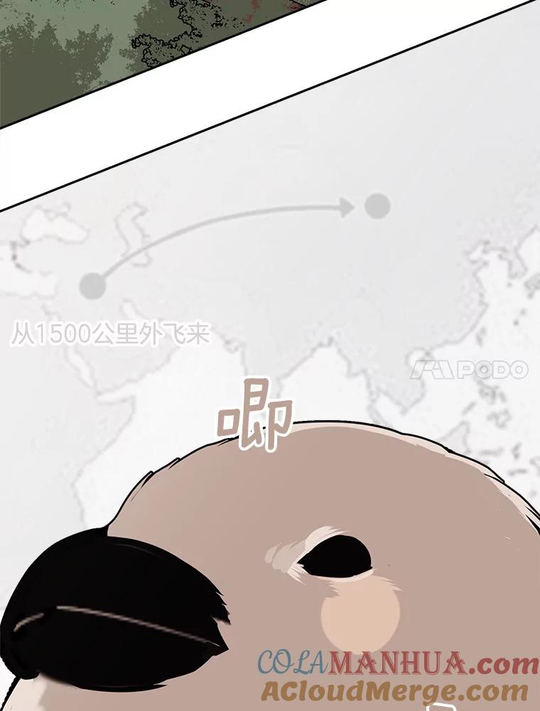 第209页