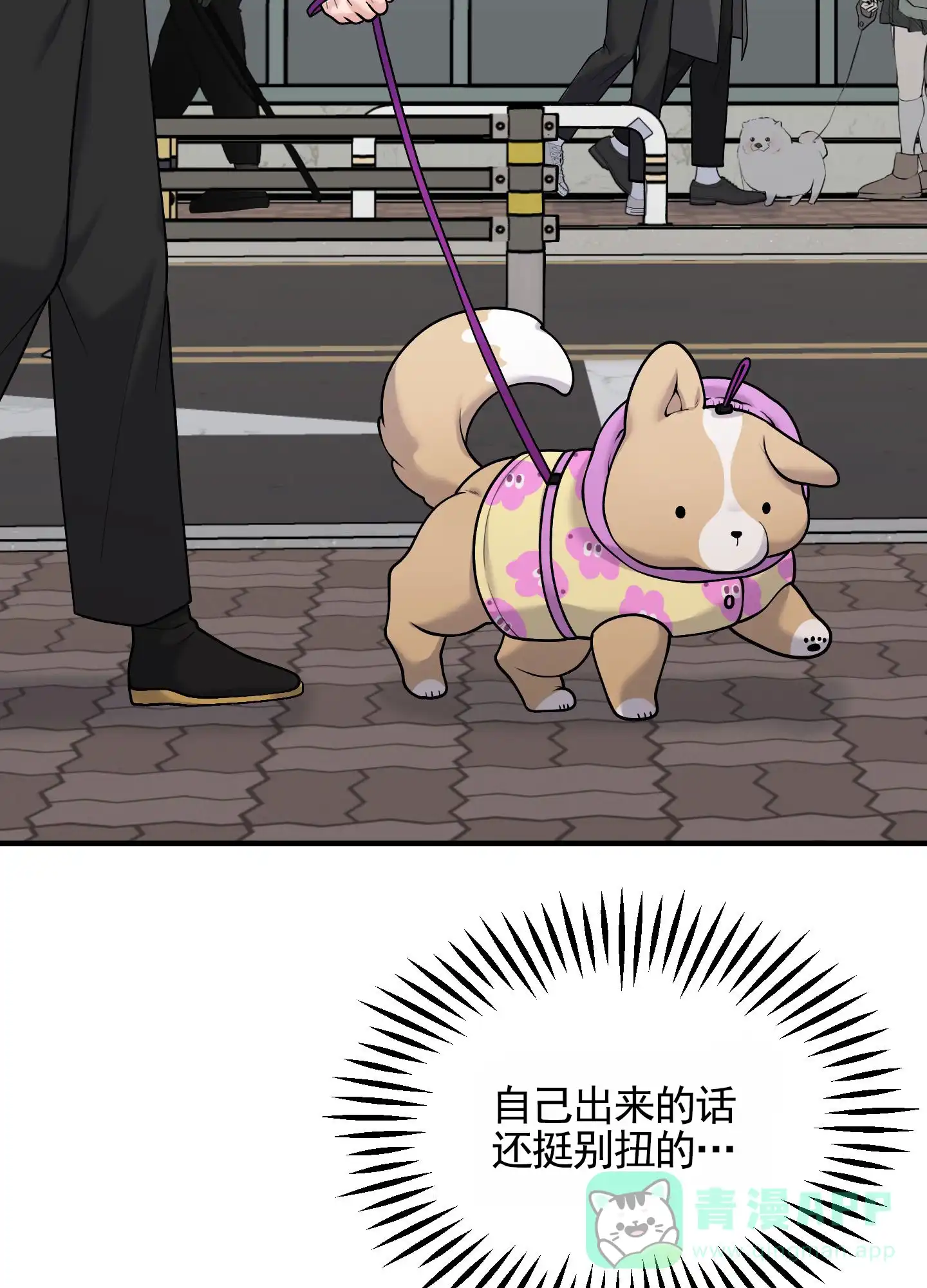 第36页