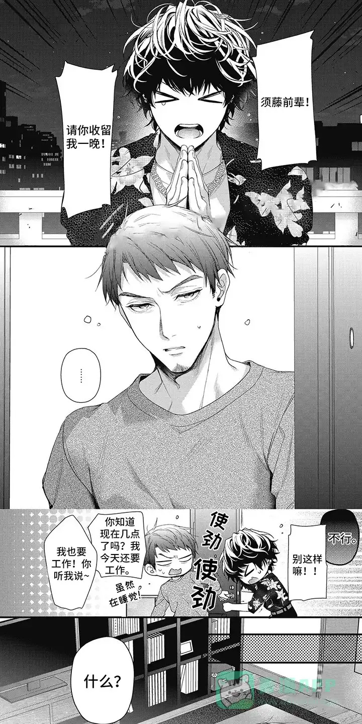 第1页