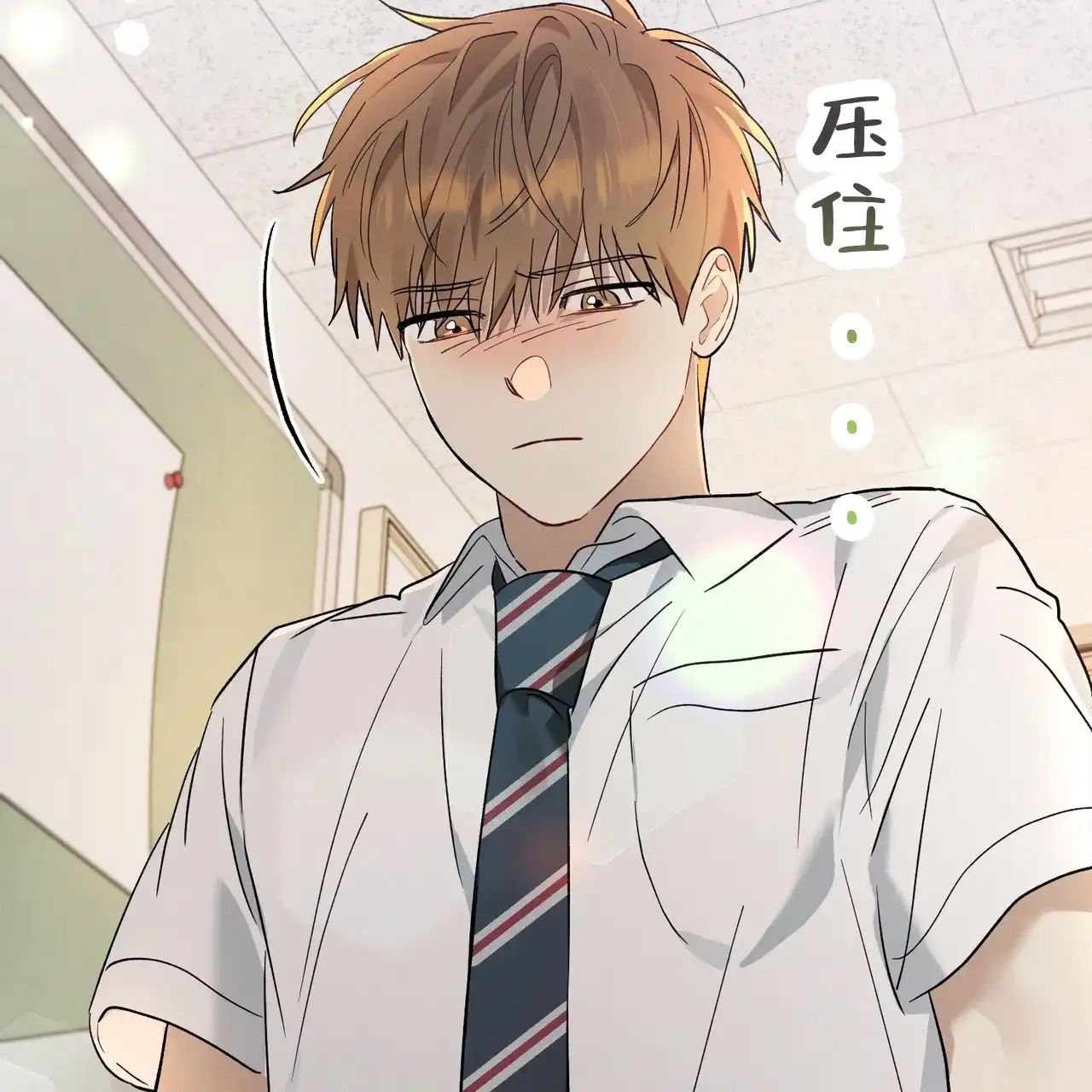 第85页