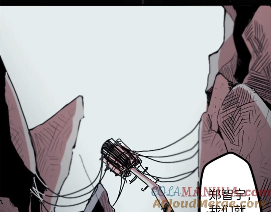 第255页