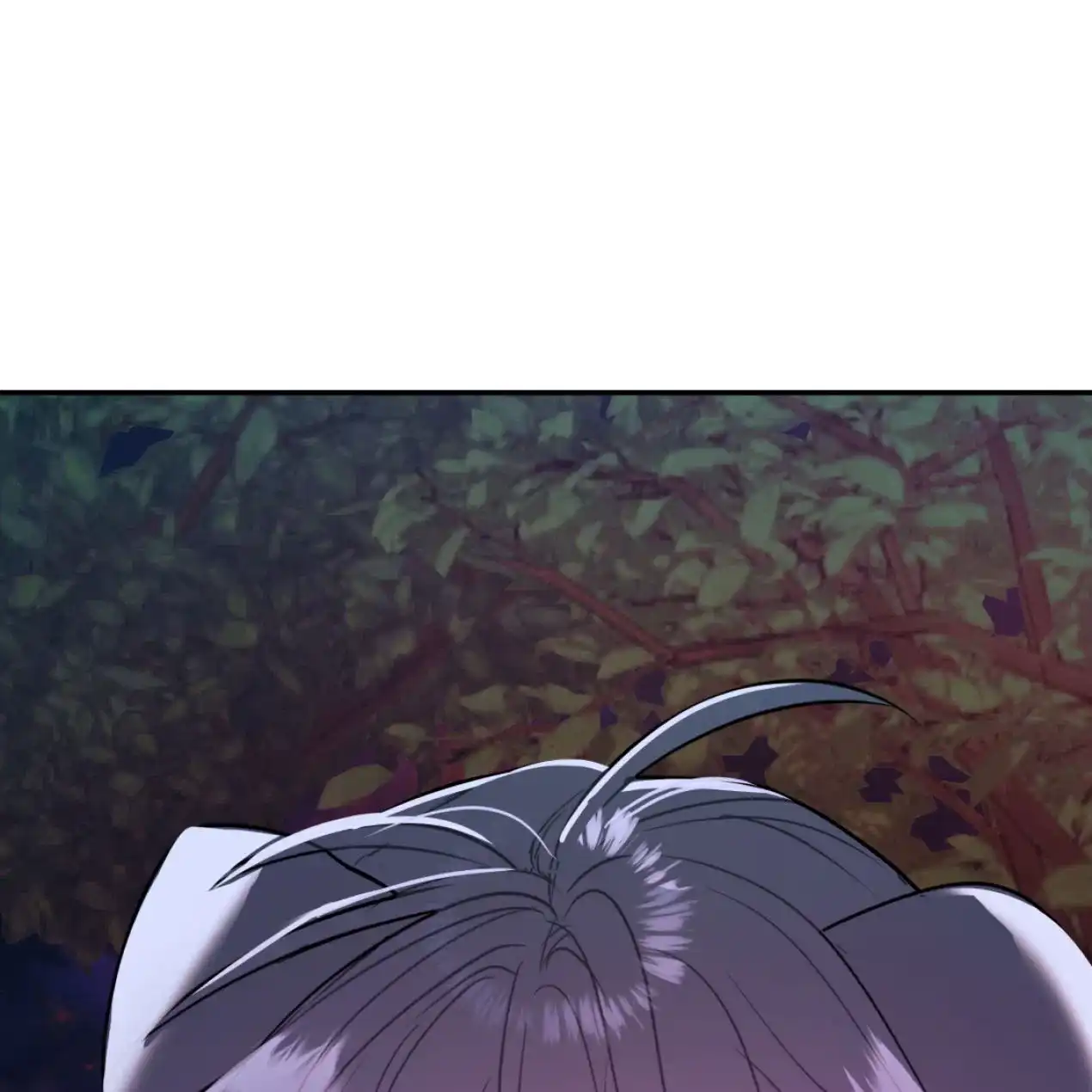 第215页