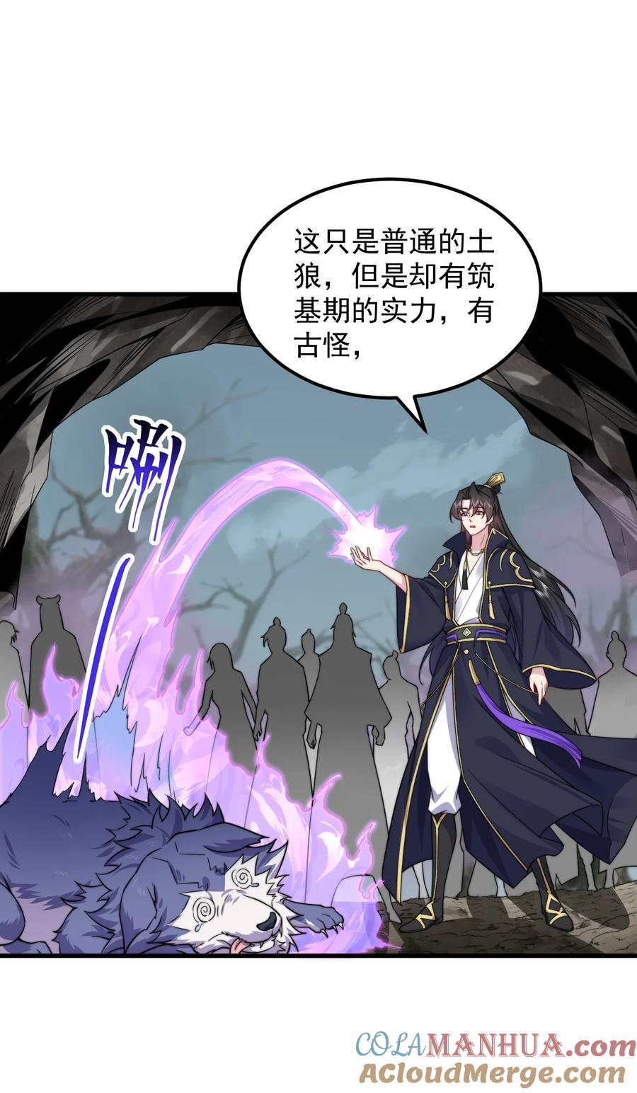 第43页