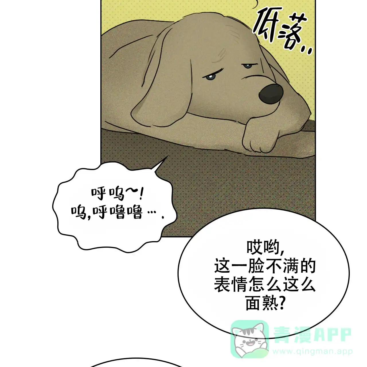 第116页