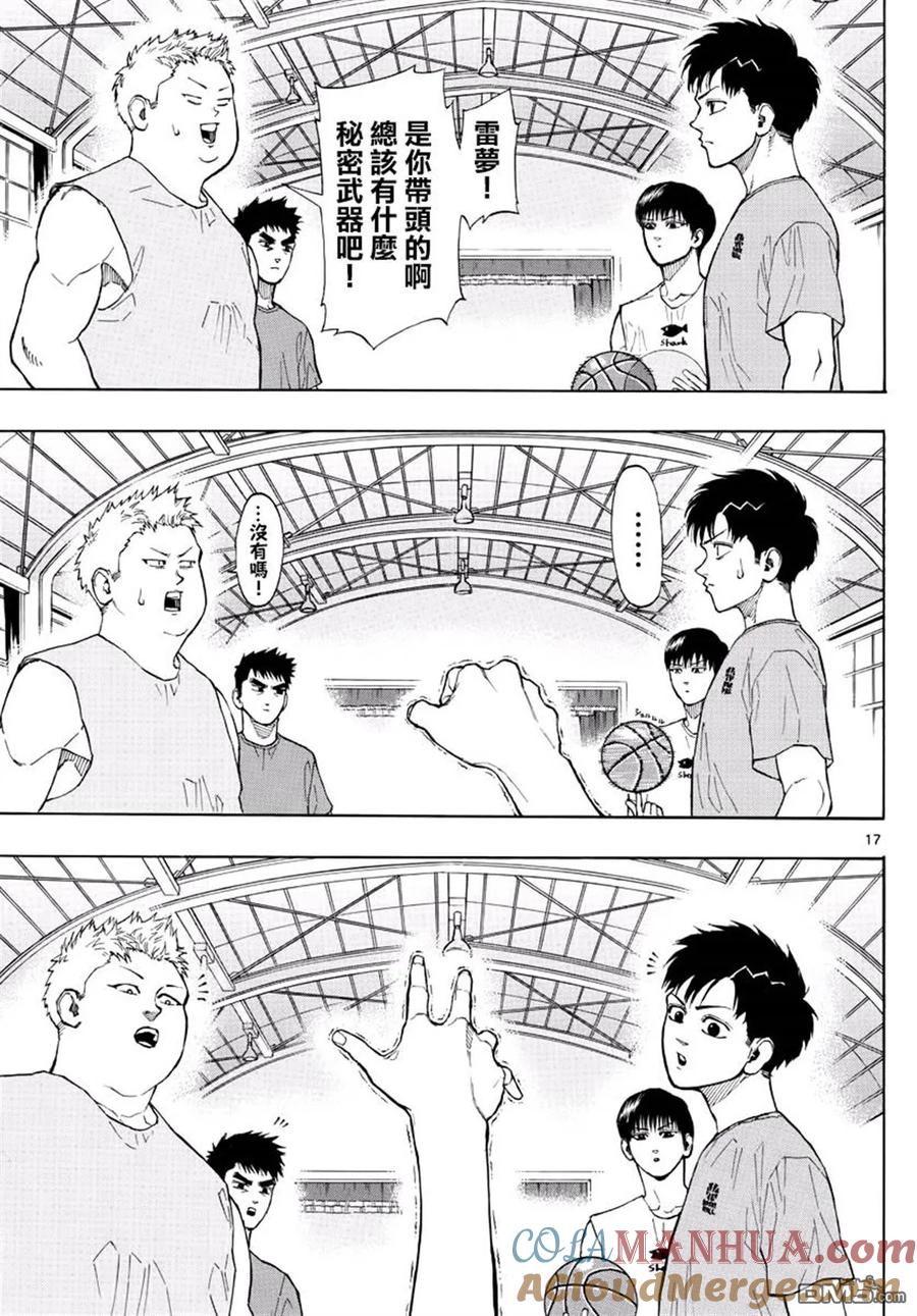 第17页