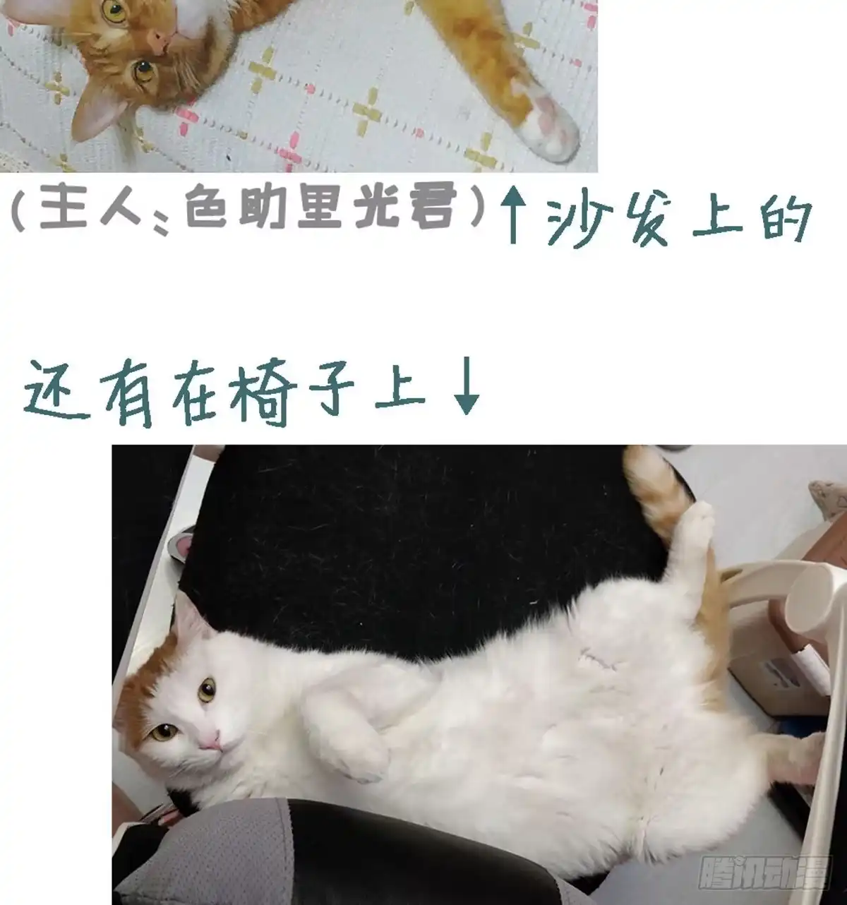 第58页