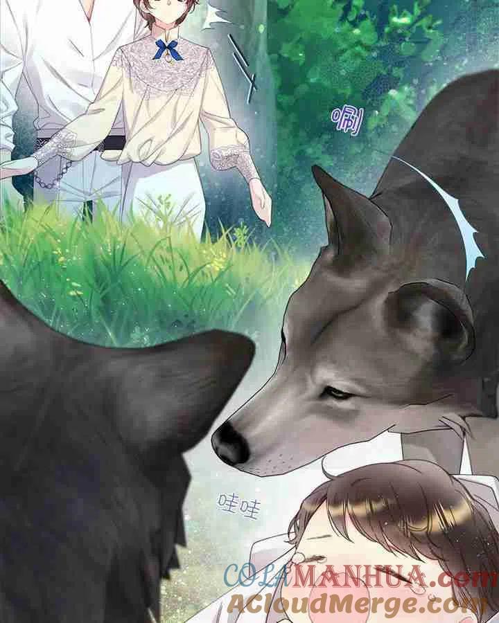 第113页