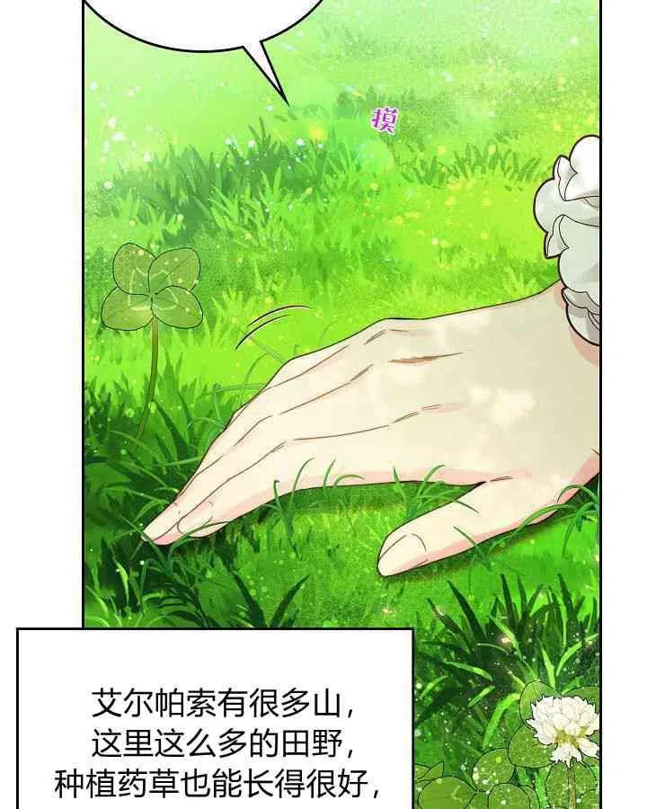 第204页