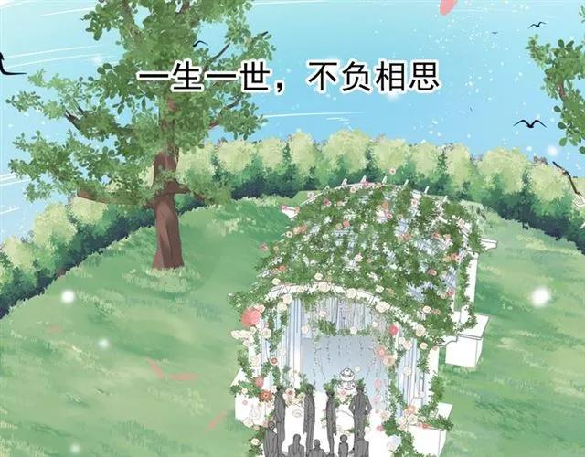 第215页
