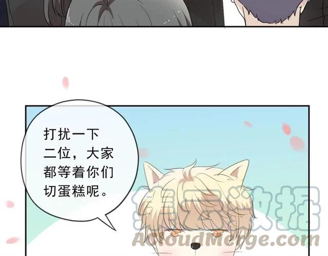 第195页