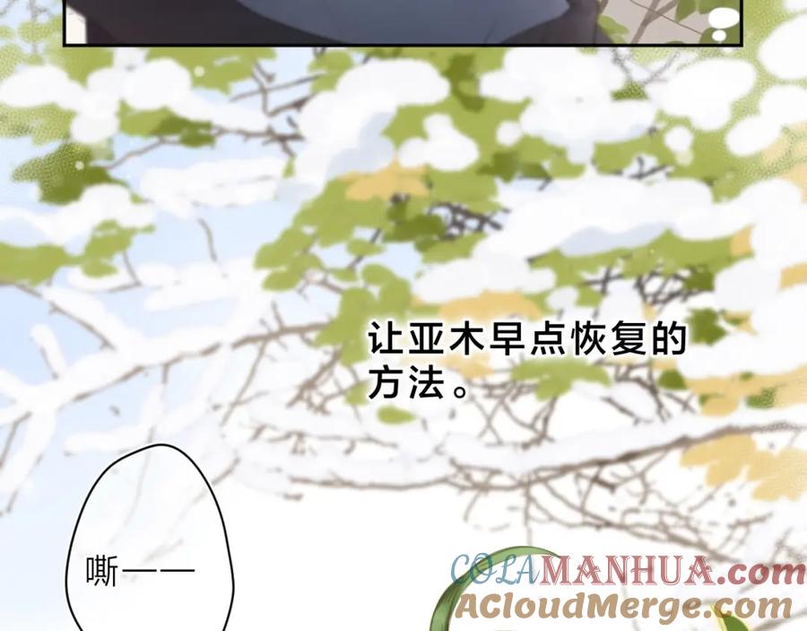 第185页