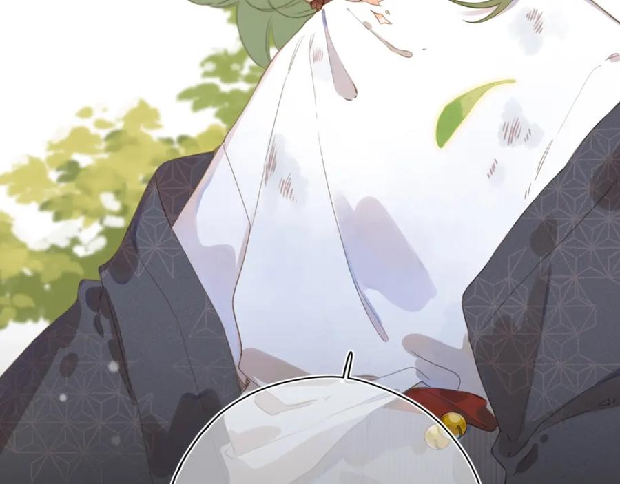 第187页