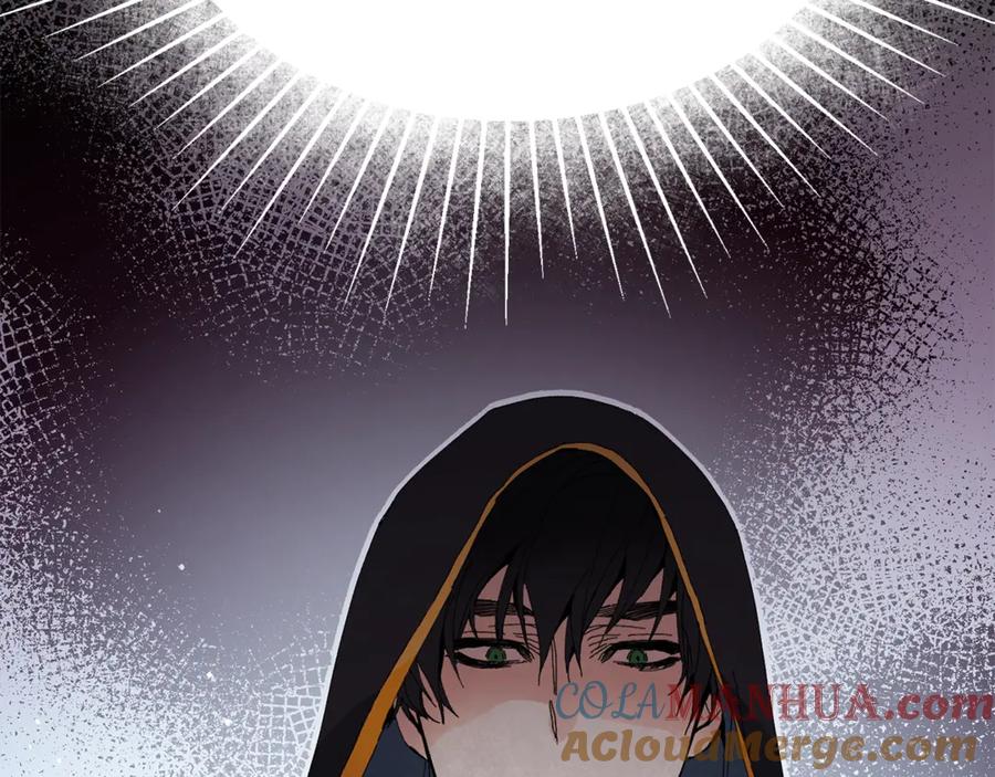 第229页
