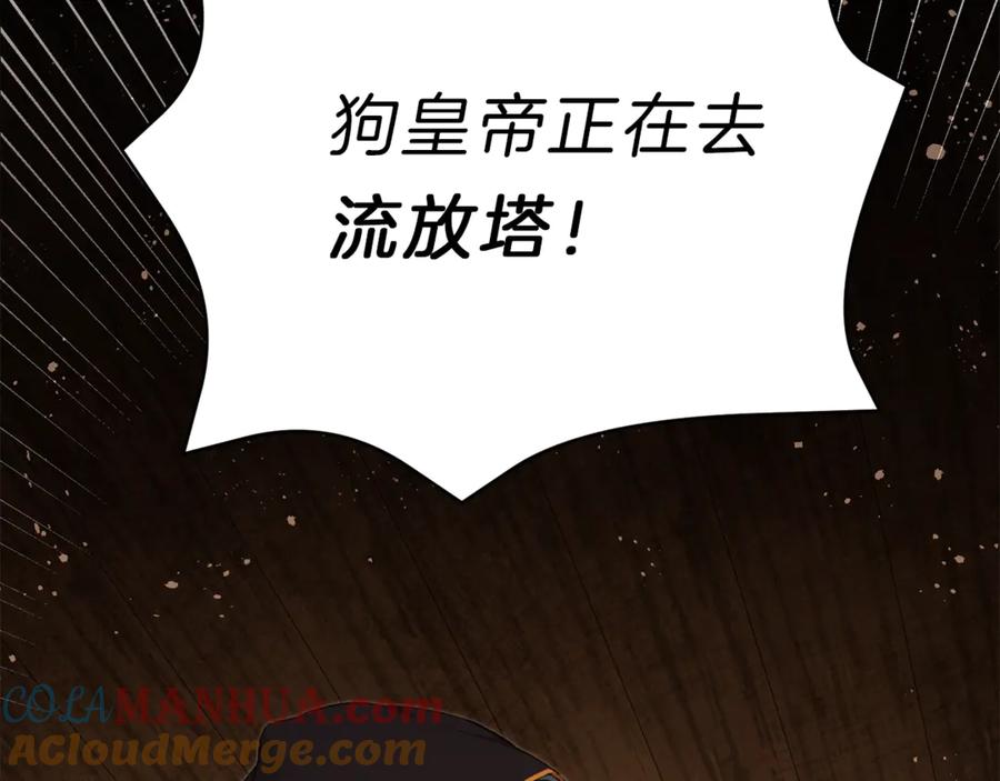 第241页