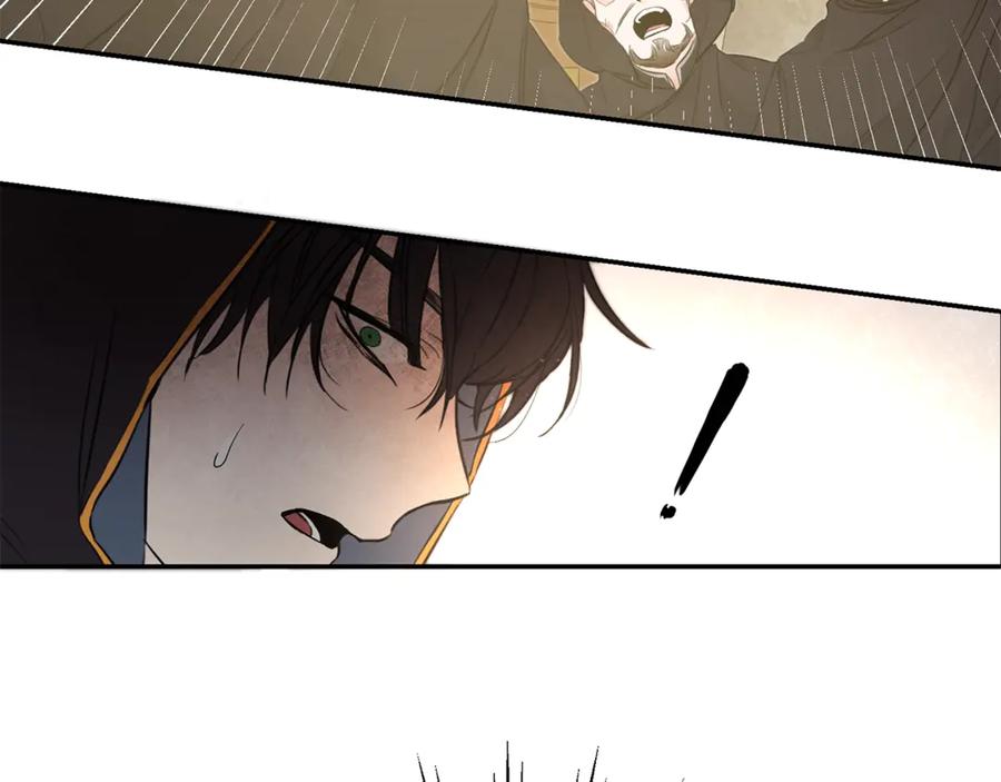第243页