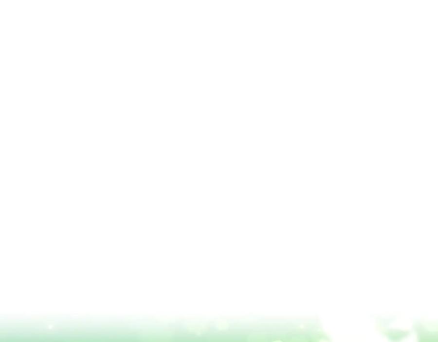 第250页