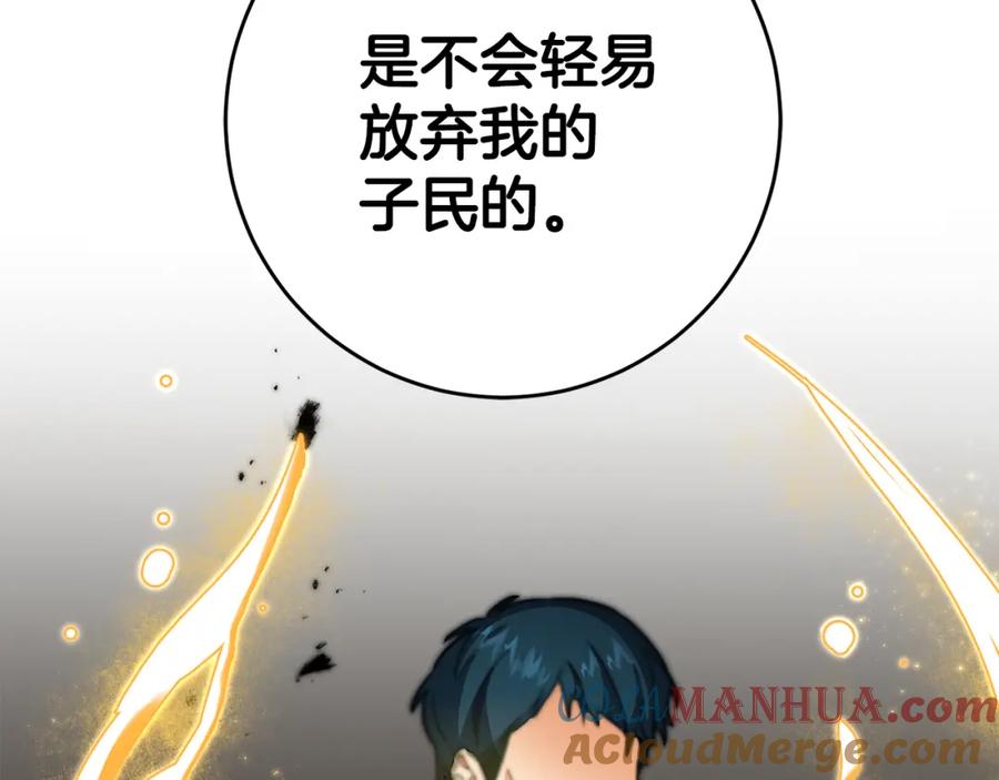 第221页