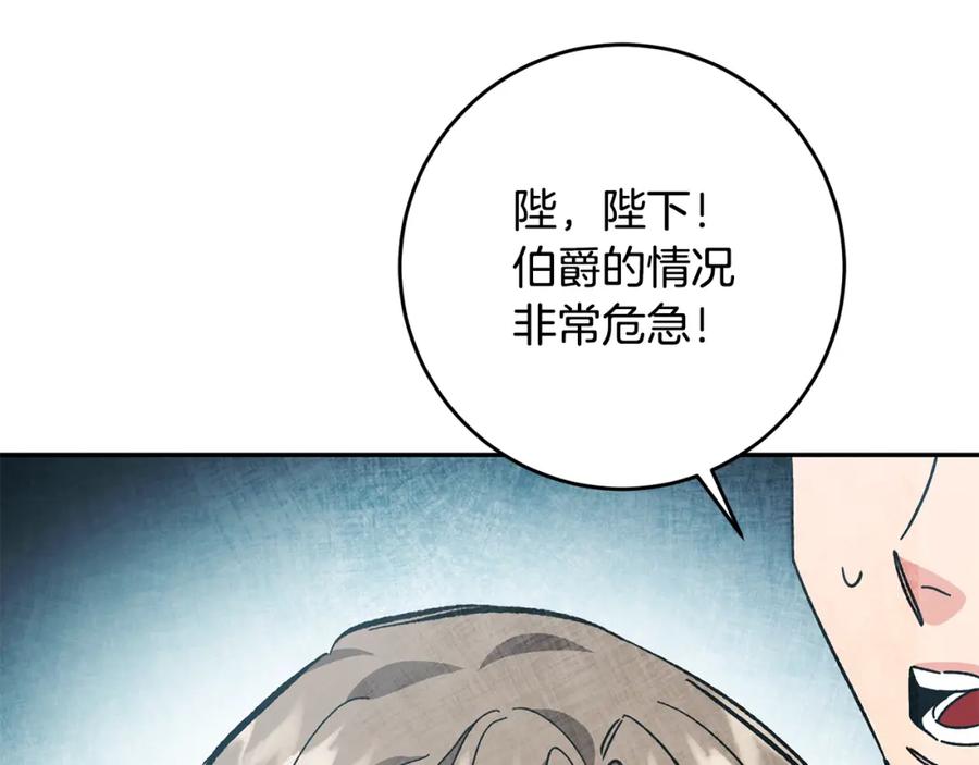 第246页