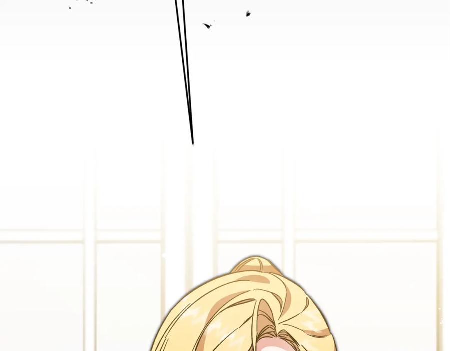 第224页
