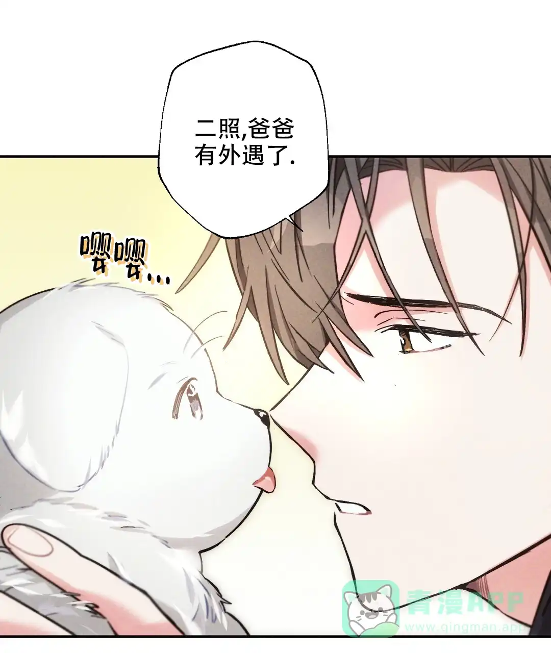 第41页