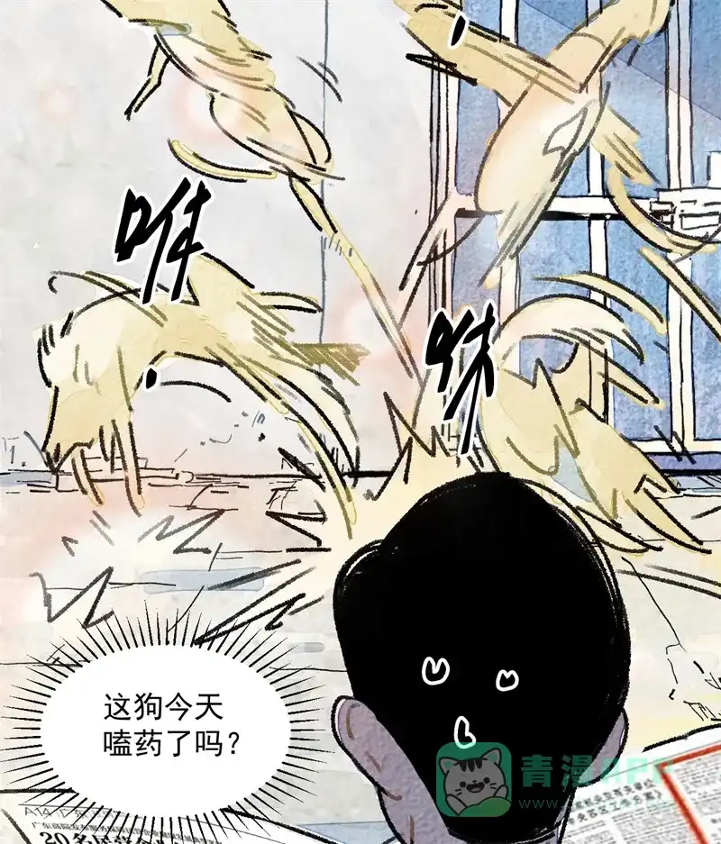 第36页