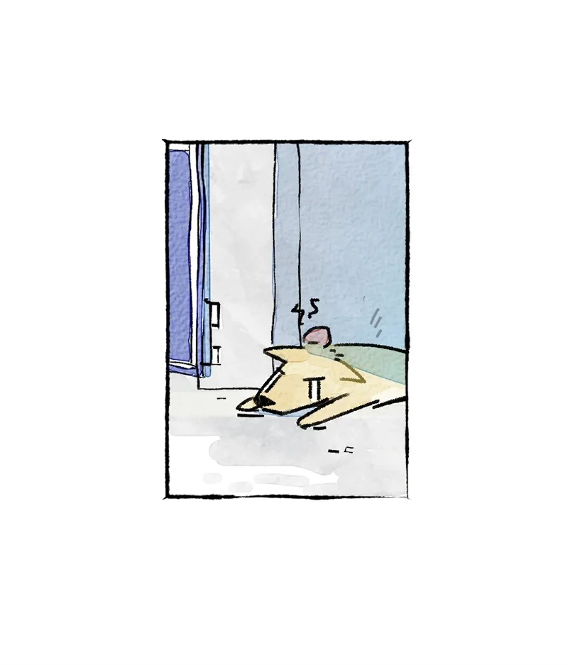 第43页