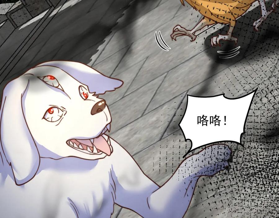 第118页