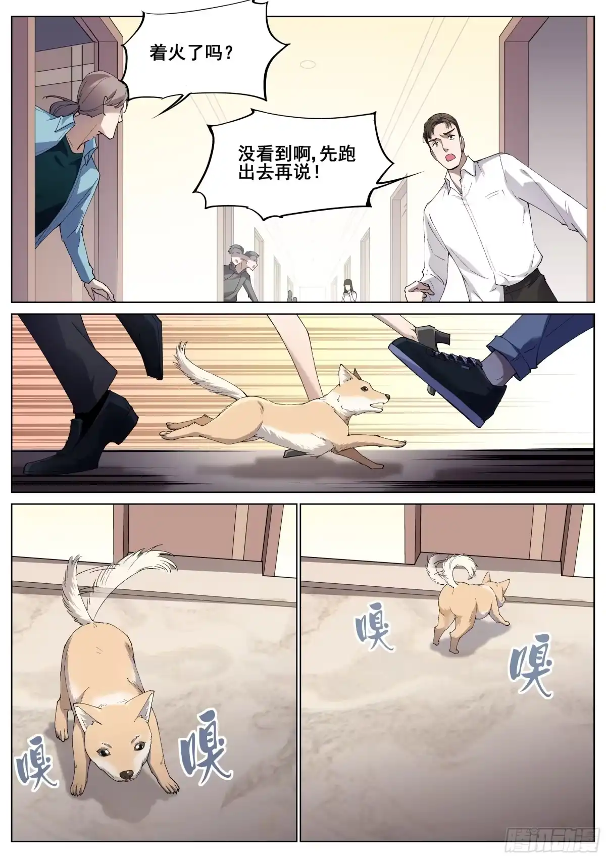 第17页