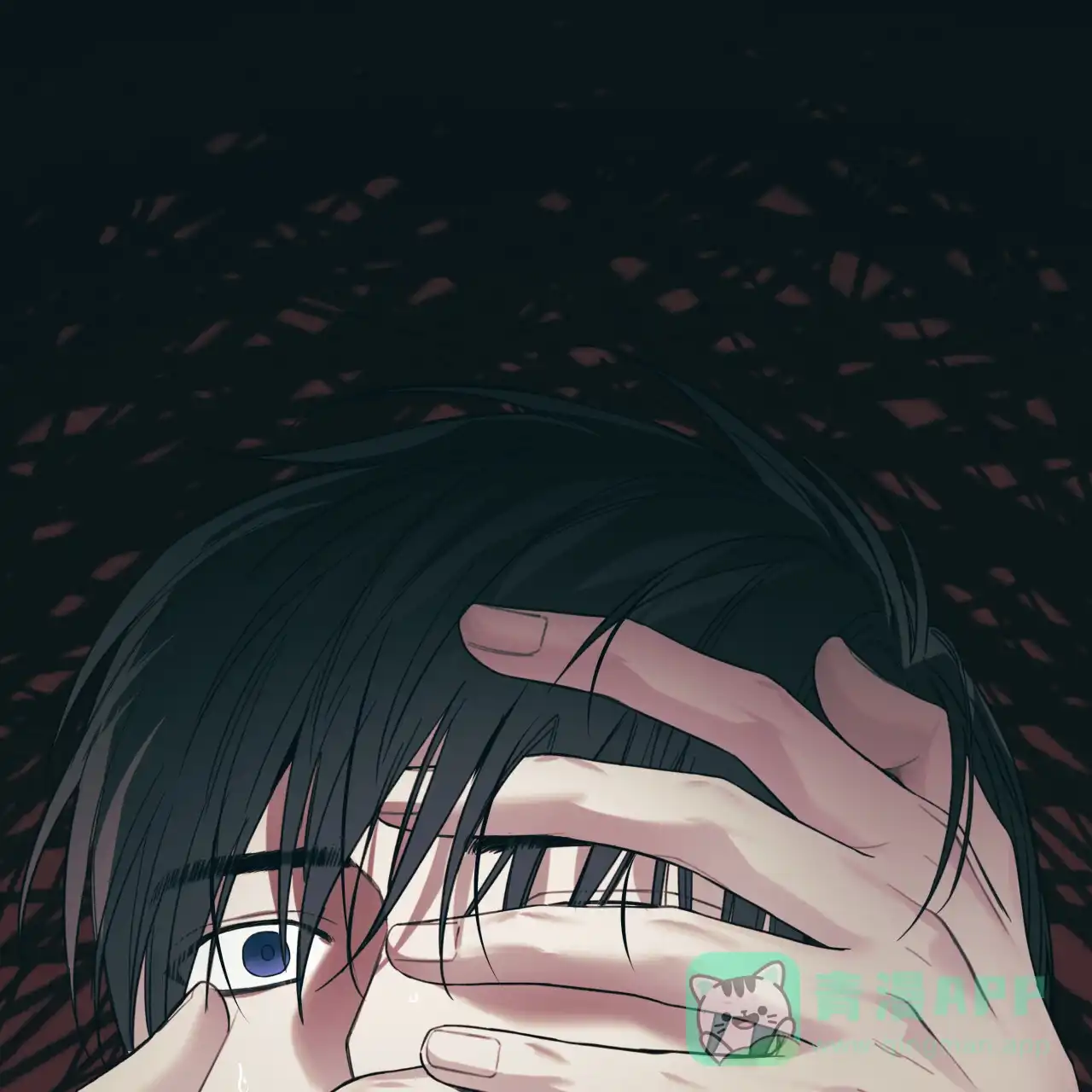 第51页