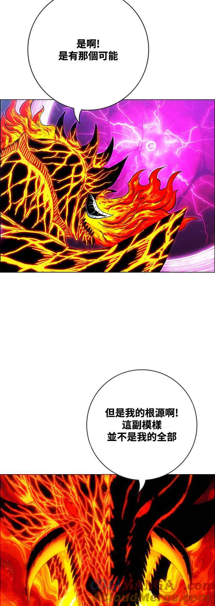第207页