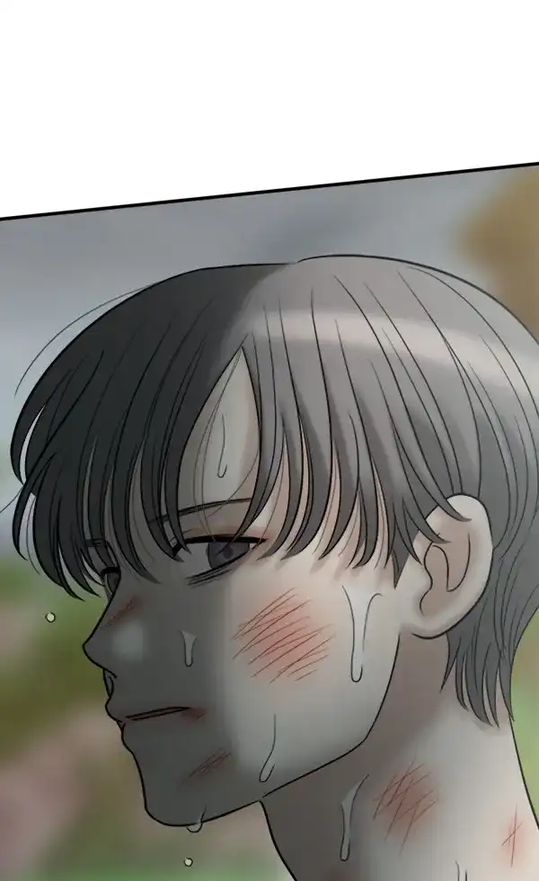 第217页