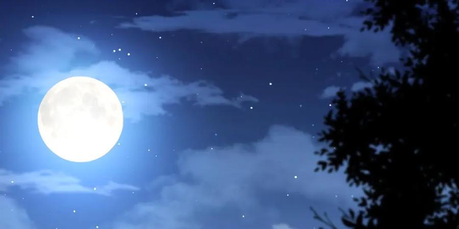 第102页