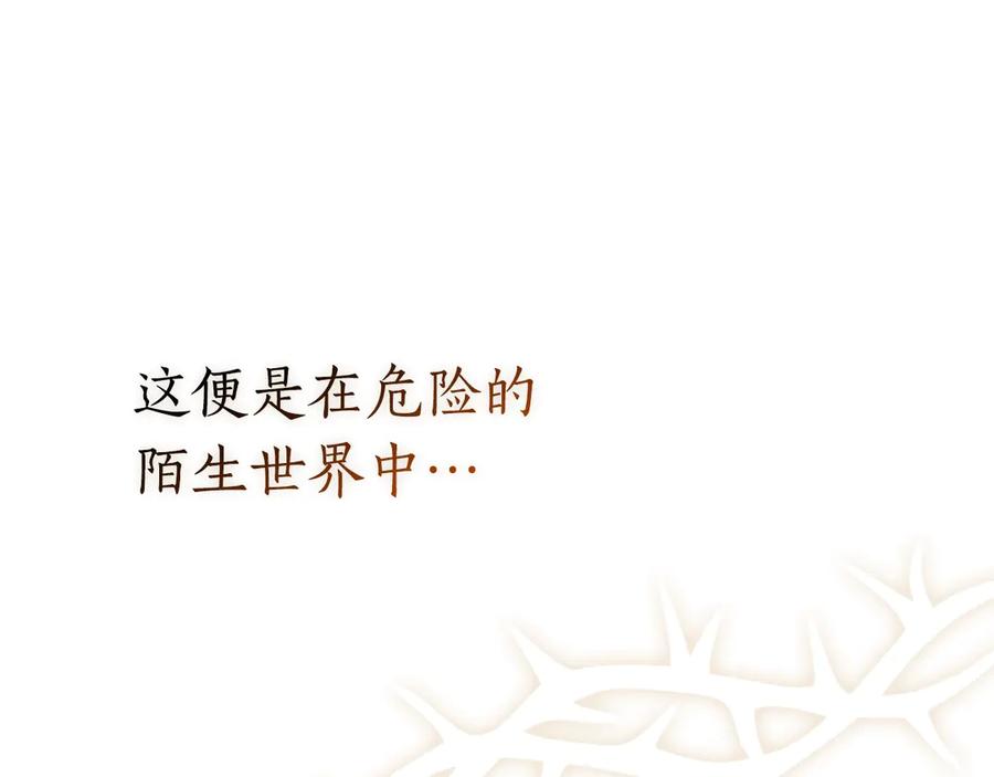 第254页