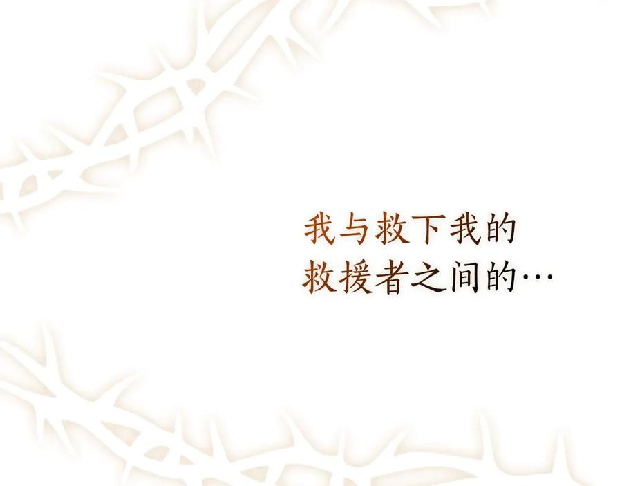 第255页