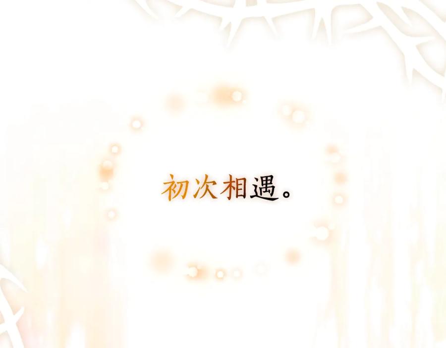 第256页