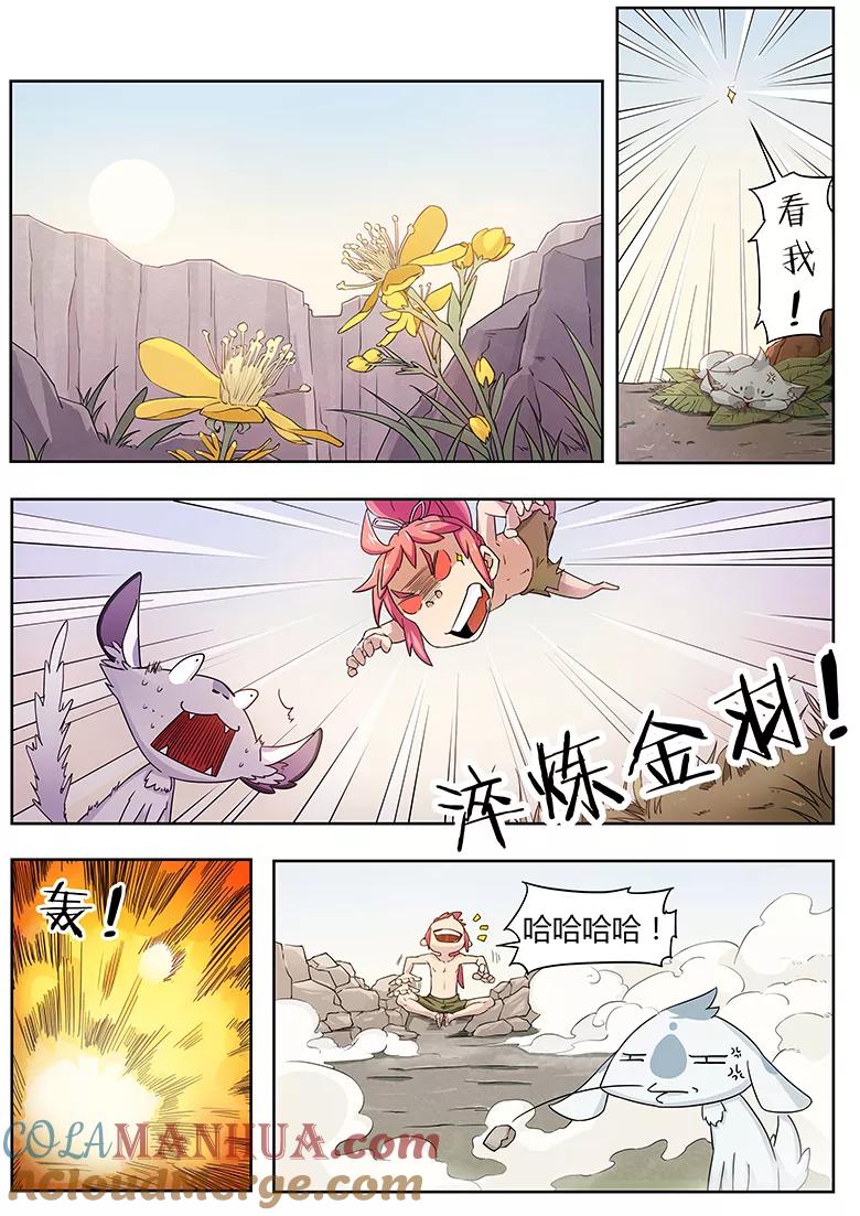 第3页