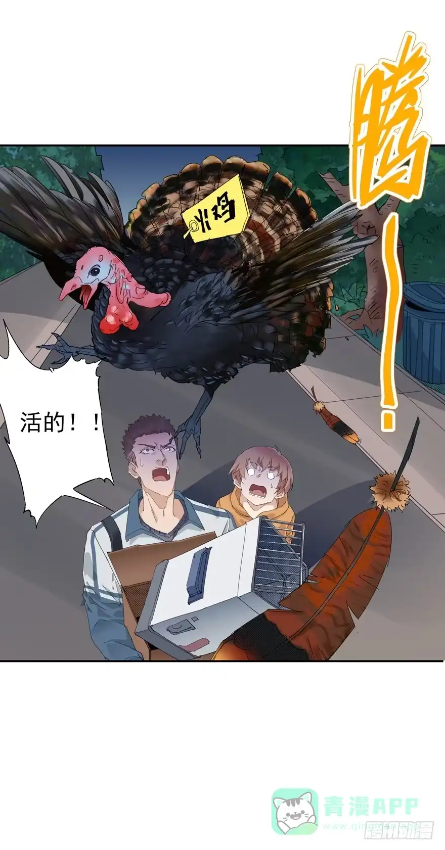 第31页