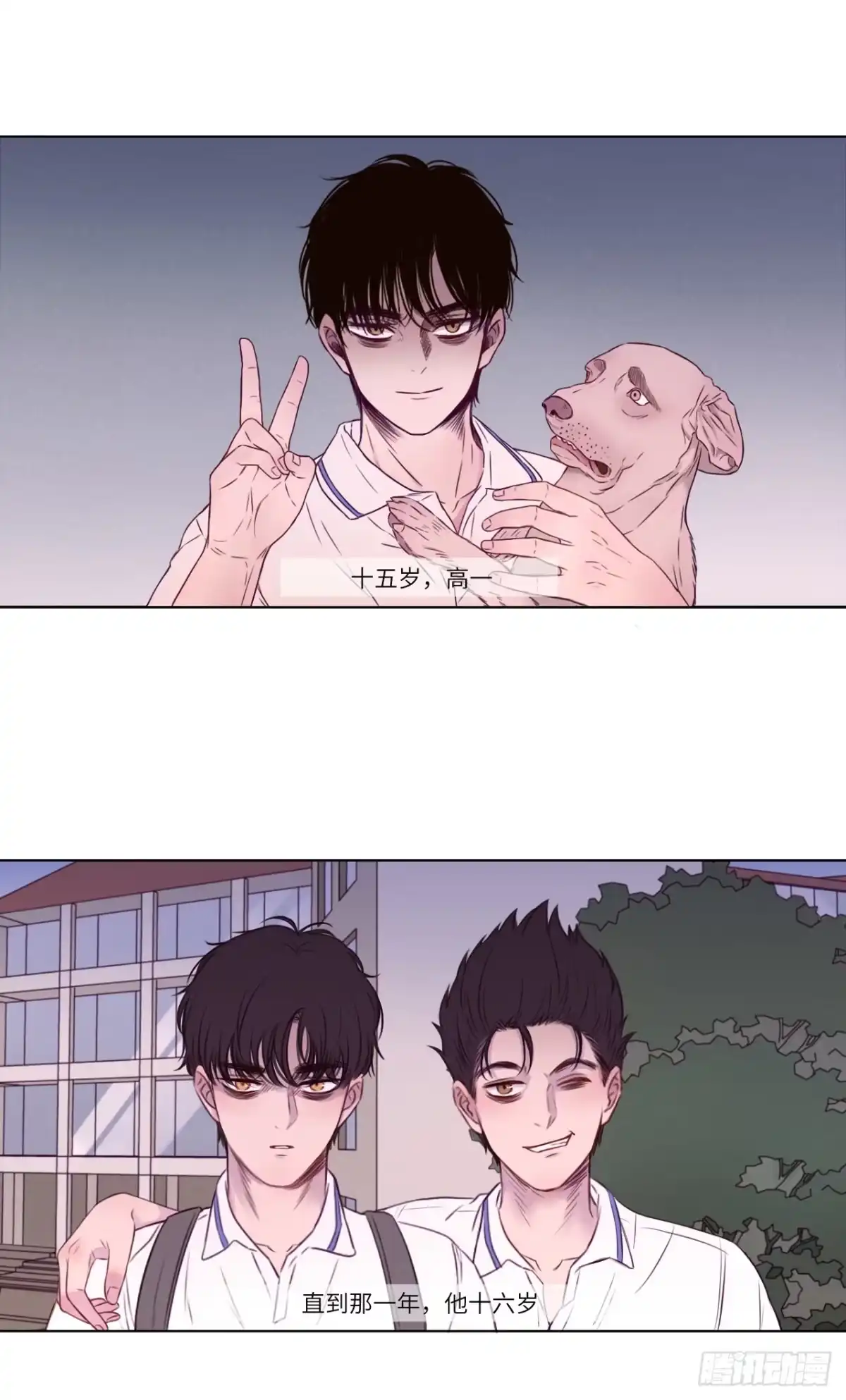 第45页