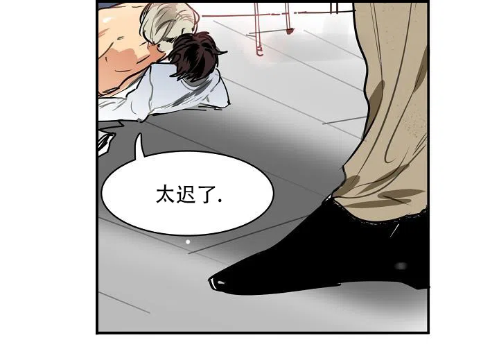 第43页