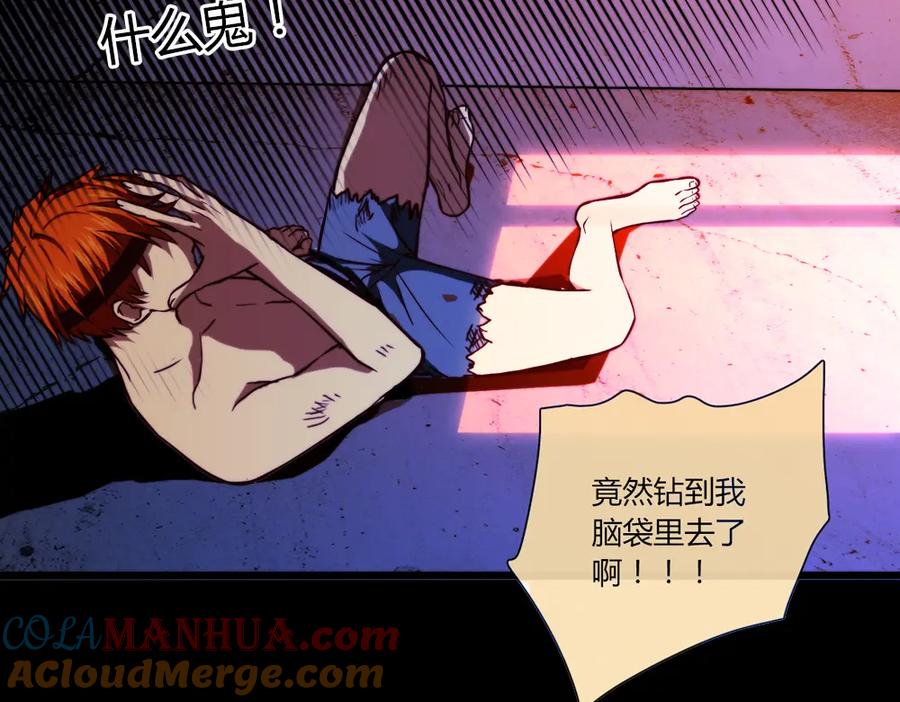 第217页