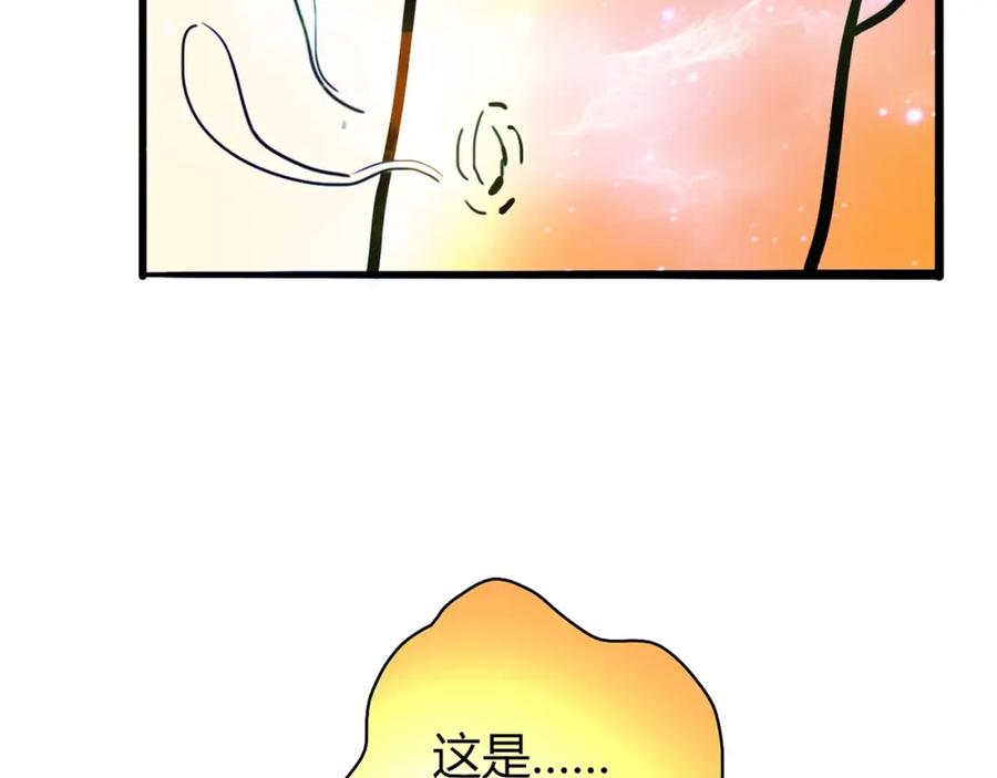 第243页