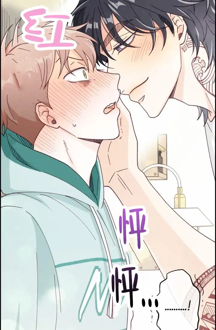 第47页