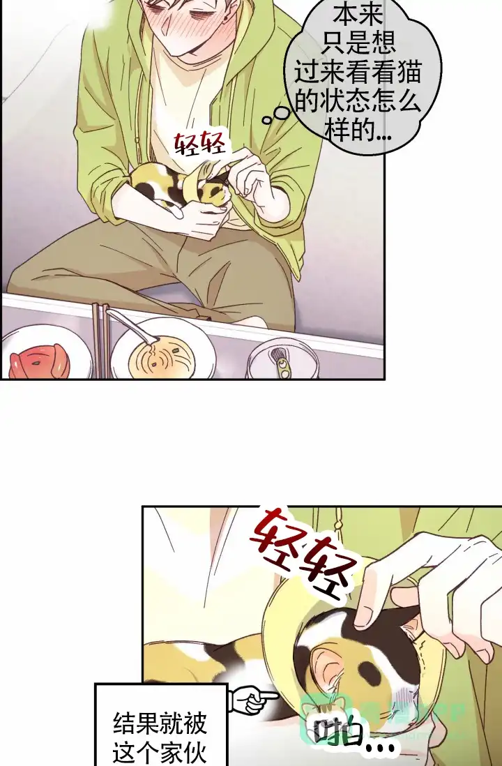 第51页