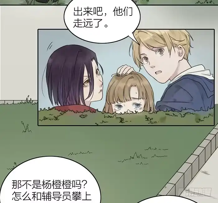 第204页
