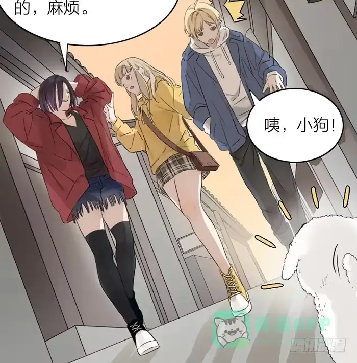 第221页