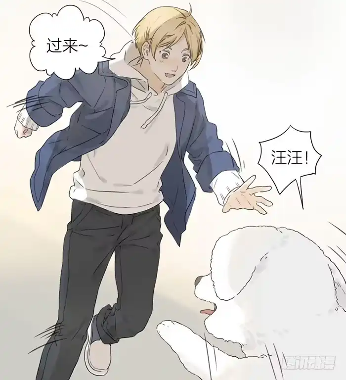第223页